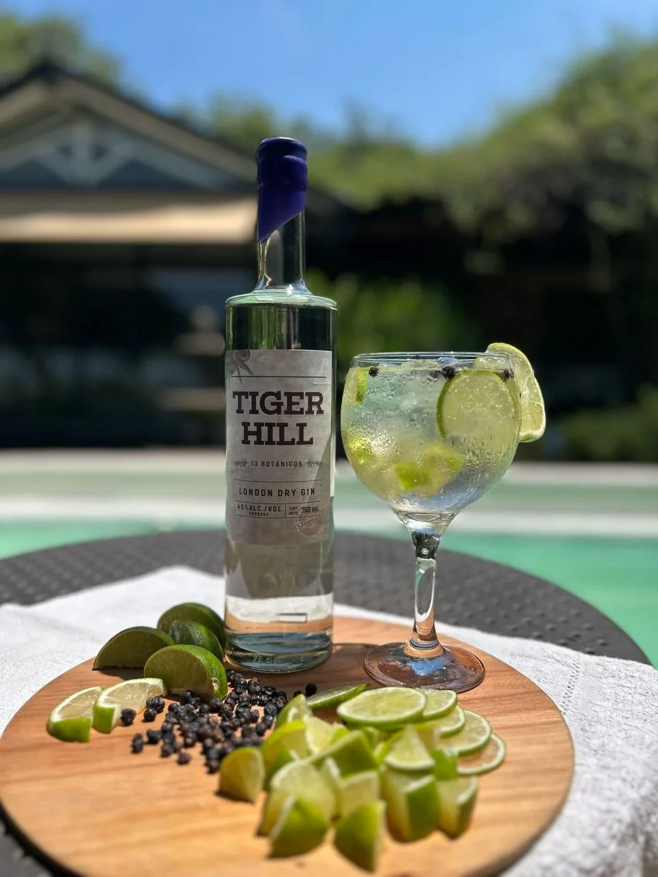 Botella de Tiger Hill y gin tonic con limas y enebro junto a una piscina