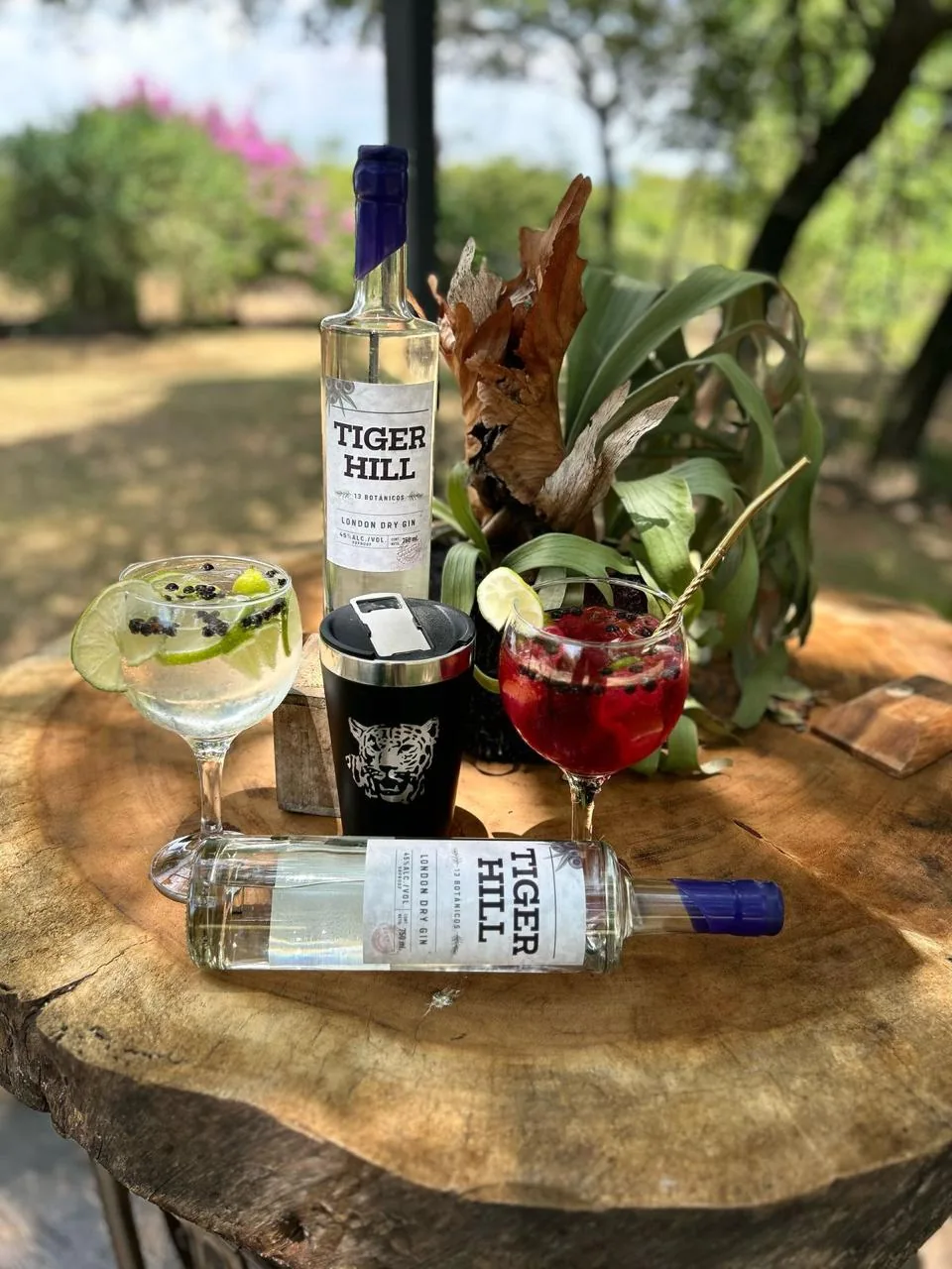 Botellas de Tiger Hill y tragos sobre una mesa de tronco en un jardín