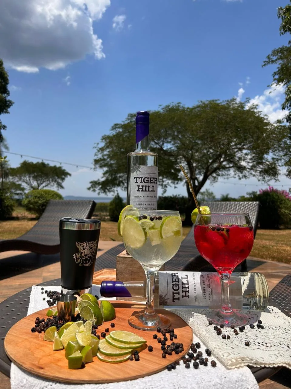 Mesa al aire libre con botellas de Tiger Hill, tragos, limas y enebro